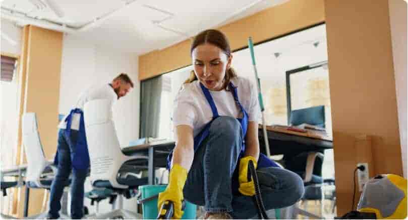 Where Cleanliness meets Care Services - 壹号娱乐APP